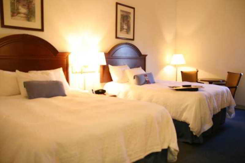 Hampton Inn & Suites Tarpon Springs Pokoj fotografie